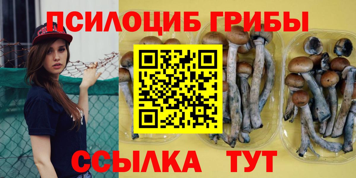 Галлюциногенные грибы Magic Shrooms Заречный